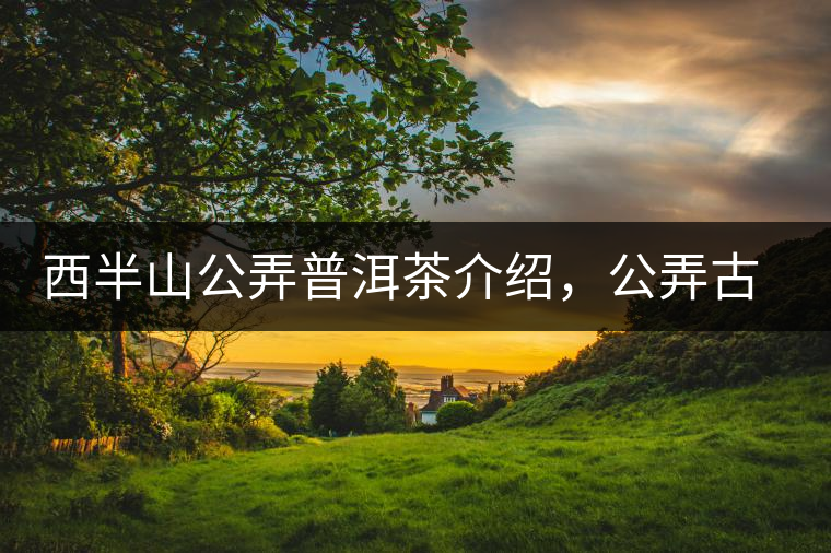 西半山公弄普洱茶介紹，公弄古樹茶口感特點