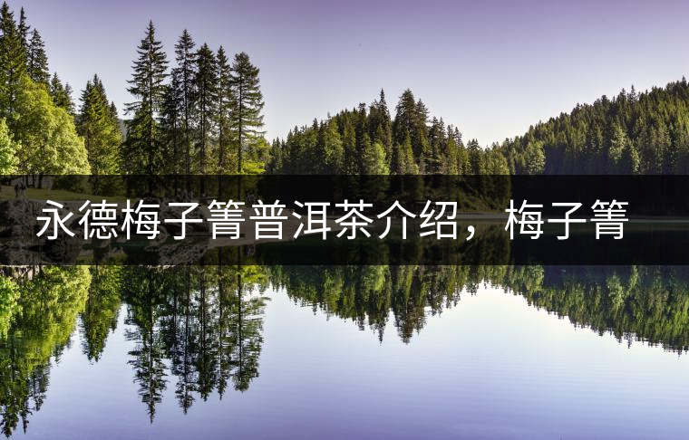 永德梅子箐普洱茶介紹，梅子箐古樹茶口感特點