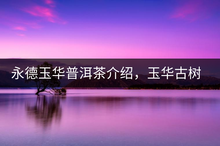 永德玉華普洱茶介紹，玉華古樹茶口感特點