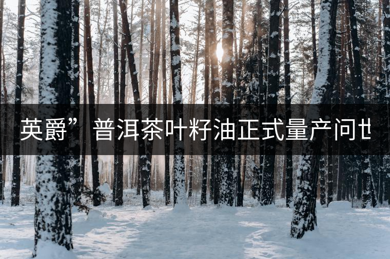 英爵”普洱茶葉籽油正式量產(chǎn)問世。