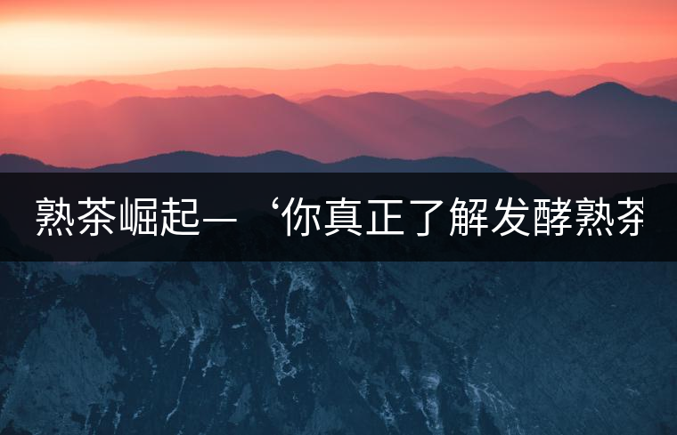 熟茶崛起—‘你真正了解發(fā)酵熟茶？’