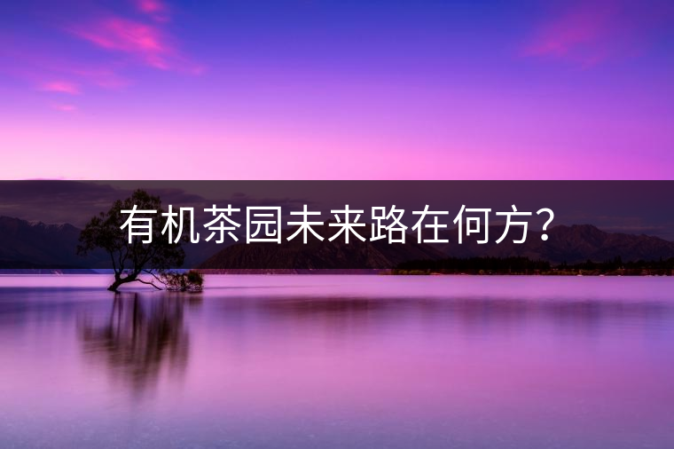 有機茶園未來路在何方？
