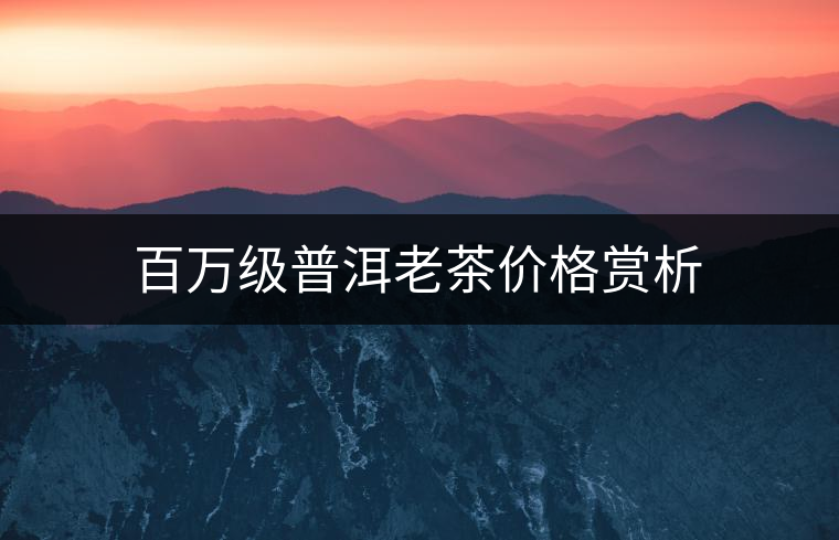 百萬級普洱老茶價格賞析