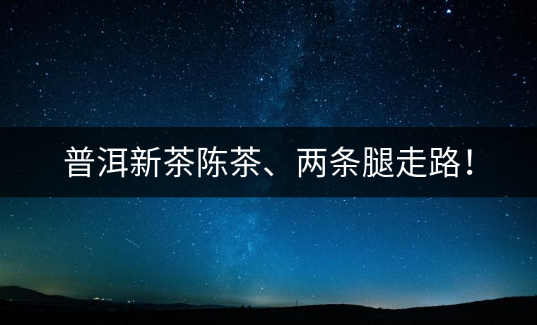普洱新茶陳茶、兩條腿走路！