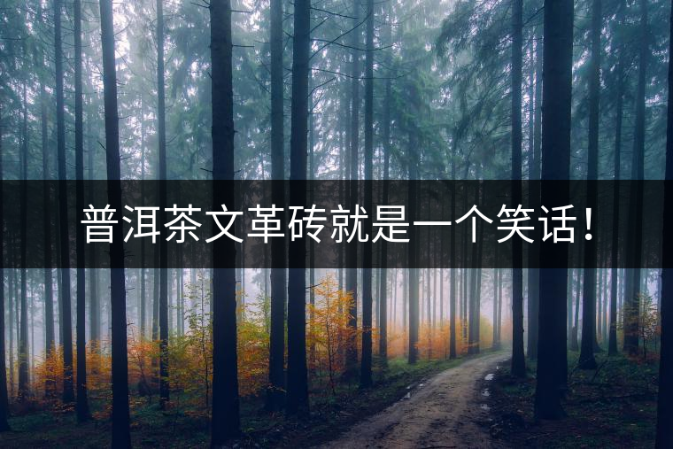 普洱茶文革磚就是一個笑話！
