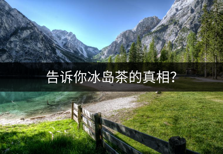 告訴你冰島茶的真相？