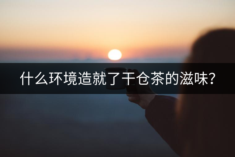 什么環(huán)境造就了干倉茶的滋味？