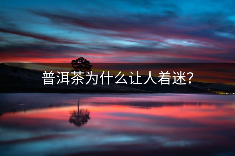普洱茶為什么讓人著迷？