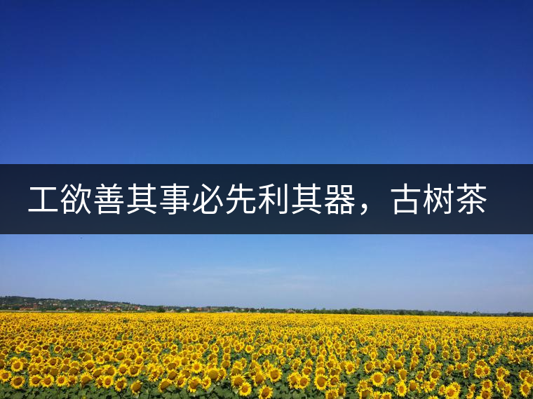 工欲善其事必先利其器，古樹(shù)茶用什么茶器最好？