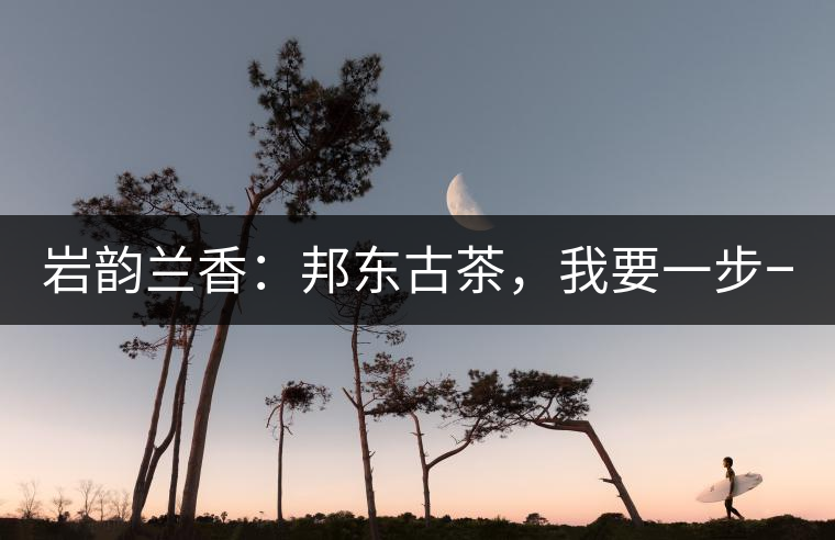 巖韻蘭香：邦東古茶，我要一步一步往上爬！