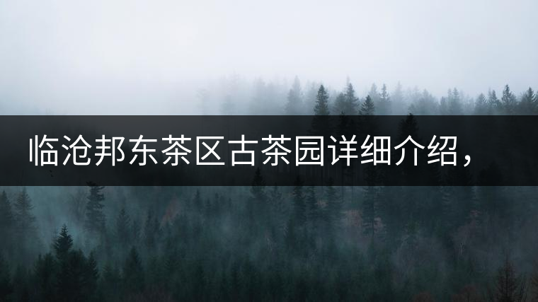 臨滄邦東茶區(qū)古茶園詳細(xì)介紹，邦東古樹茶特點