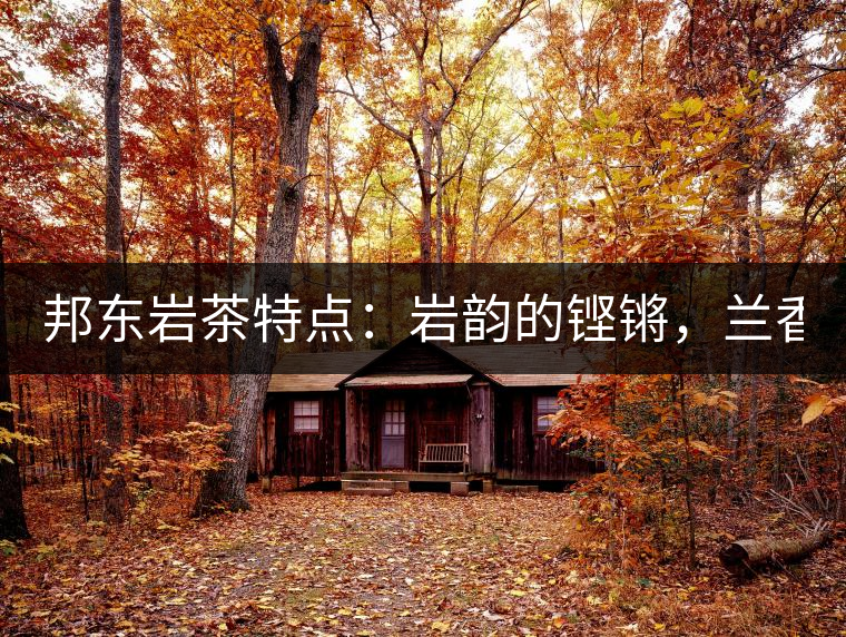 邦東巖茶特點(diǎn)：巖韻的鏗鏘，蘭香的柔美！