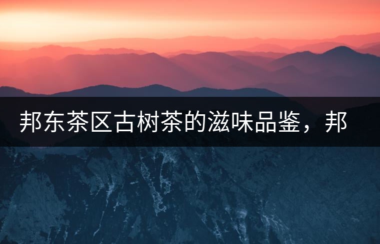 邦東茶區(qū)古樹茶的滋味品鑒，邦東普洱茶特點(diǎn)