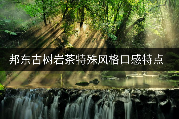 邦東古樹(shù)巖茶特殊風(fēng)格口感特點(diǎn)的原因 邦東古樹(shù)巖茶特殊風(fēng)格口感特點(diǎn)的原因