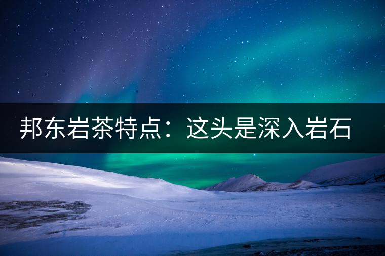 邦東巖茶特點(diǎn)：這頭是深入巖石的根，那頭是臨風(fēng)飄香的古韻