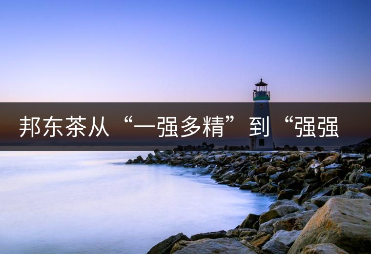 邦東茶從“一強(qiáng)多精”到“強(qiáng)強(qiáng)聯(lián)手”，是山頭茶未來的發(fā)展格局！