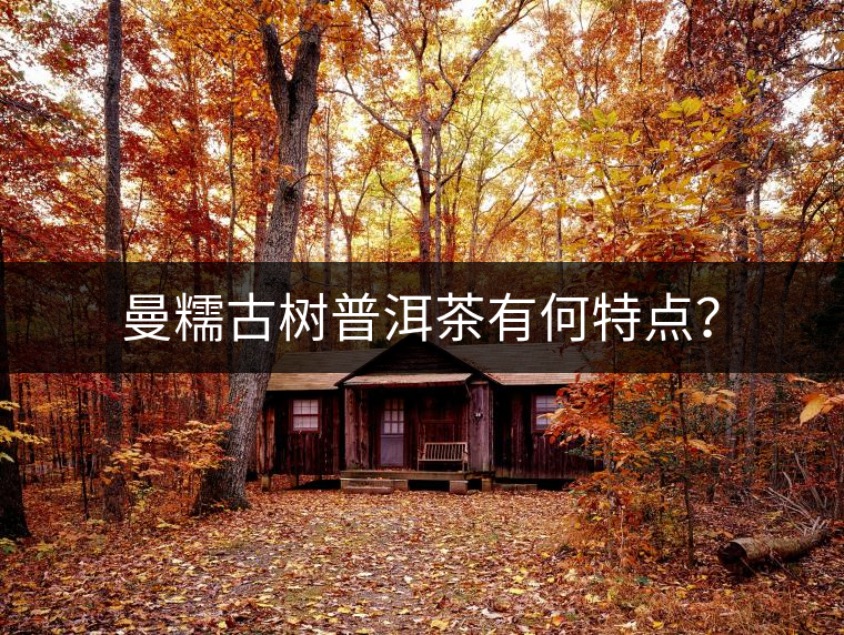 曼糯古樹普洱茶有何特點？