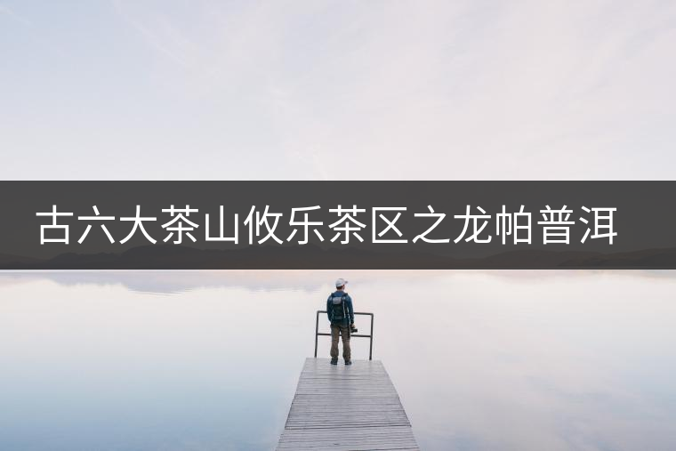 古六大茶山攸樂(lè)茶區(qū)之龍帕普洱茶