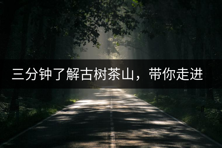三分鐘了解古樹茶山，帶你走進西蒙佛殿山