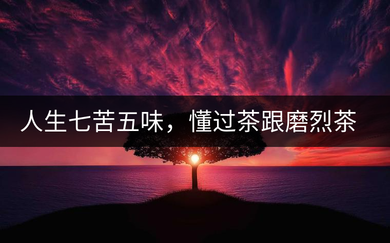 人生七苦五味，懂過茶跟磨烈茶區(qū)別介紹
