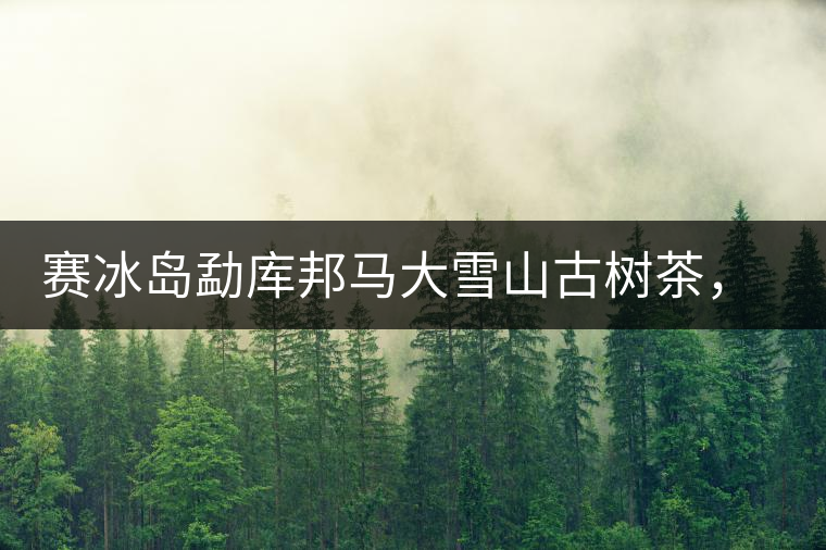賽冰島勐庫(kù)邦馬大雪山古樹茶，薄荷冰涼口感