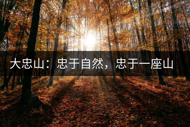 大忠山：忠于自然，忠于一座山的原味