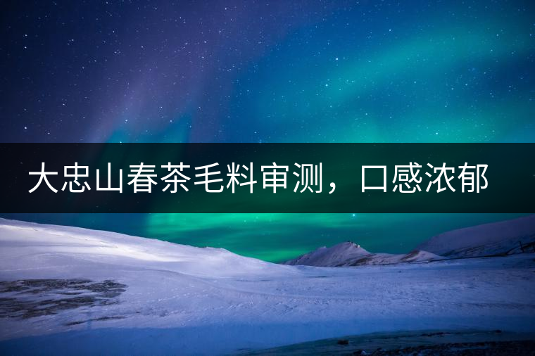 大忠山春茶毛料審測，口感濃郁花香與甜潤口感相得益彰
