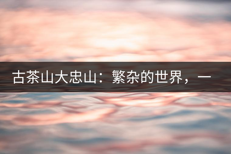 古茶山大忠山：繁雜的世界，一杯就夠了