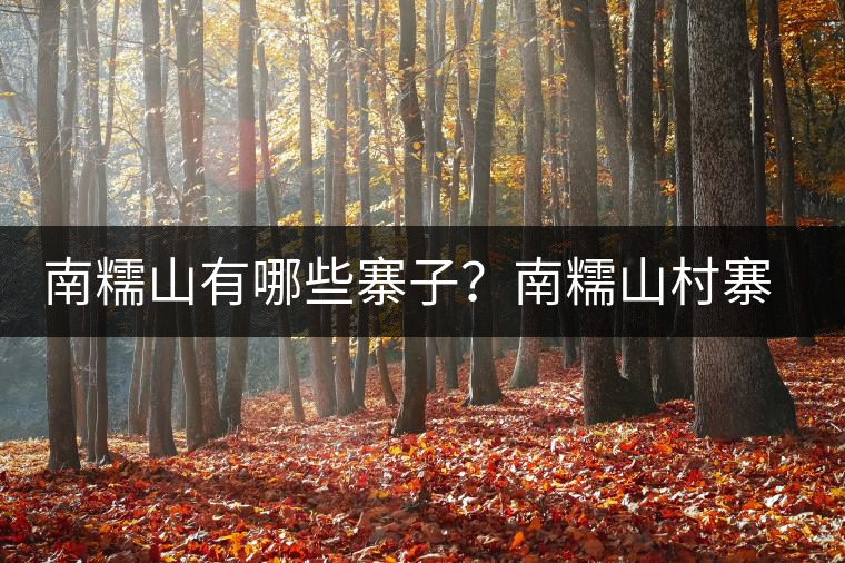 南糯山有哪些寨子？南糯山村寨歷史介紹