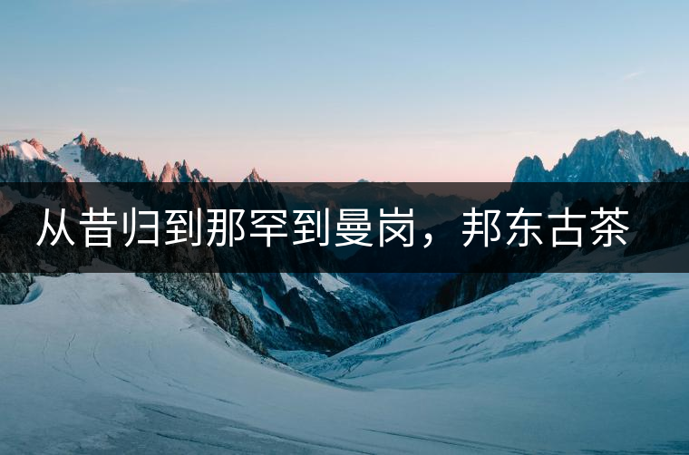 從昔歸到那罕到曼崗，邦東古茶藏著一條規(guī)律！