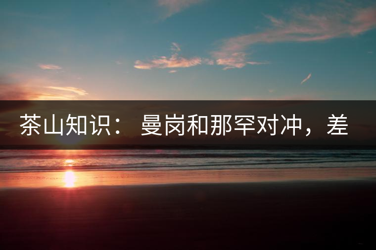 茶山知識： 曼崗和那罕對沖，差別在哪里？