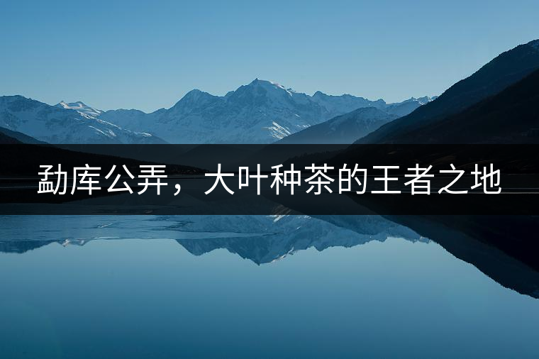 勐庫(kù)公弄，大葉種茶的王者之地