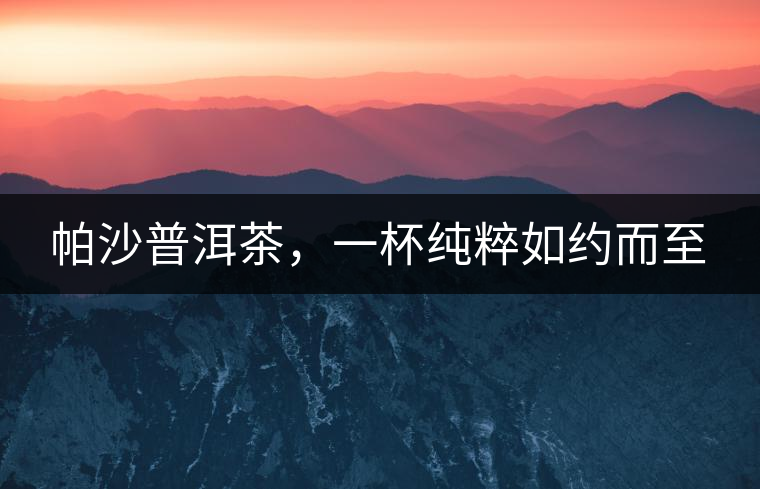 帕沙普洱茶，一杯純粹如約而至