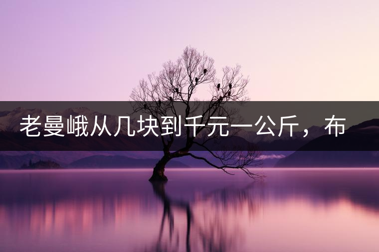 老曼峨從幾塊到千元一公斤，布朗山茶是怎么改變少數(shù)民族命運(yùn)的