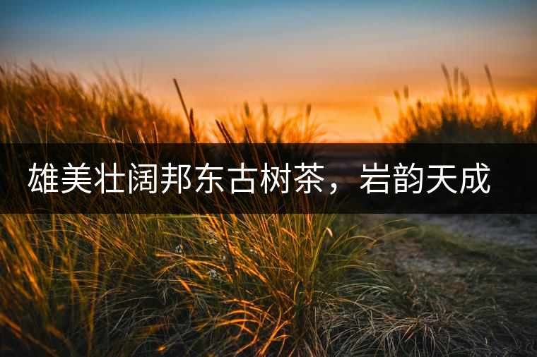 雄美壯闊邦東古樹茶，巖韻天成甘香鮮靈