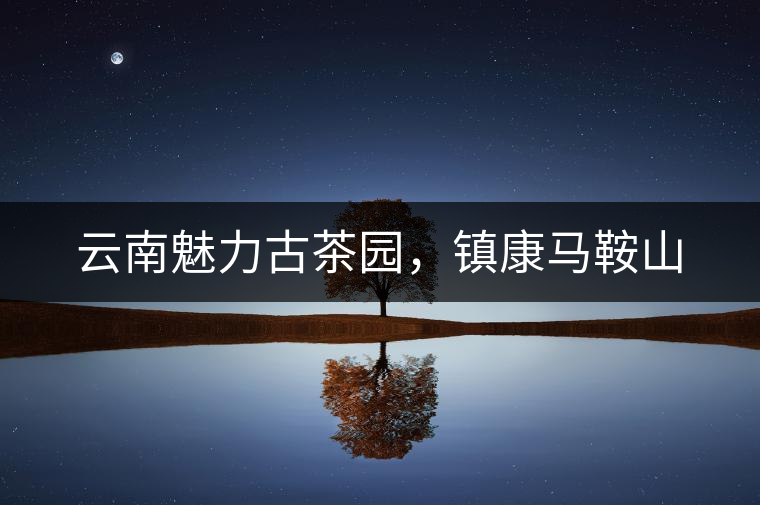 云南魅力古茶園，鎮(zhèn)康馬鞍山
