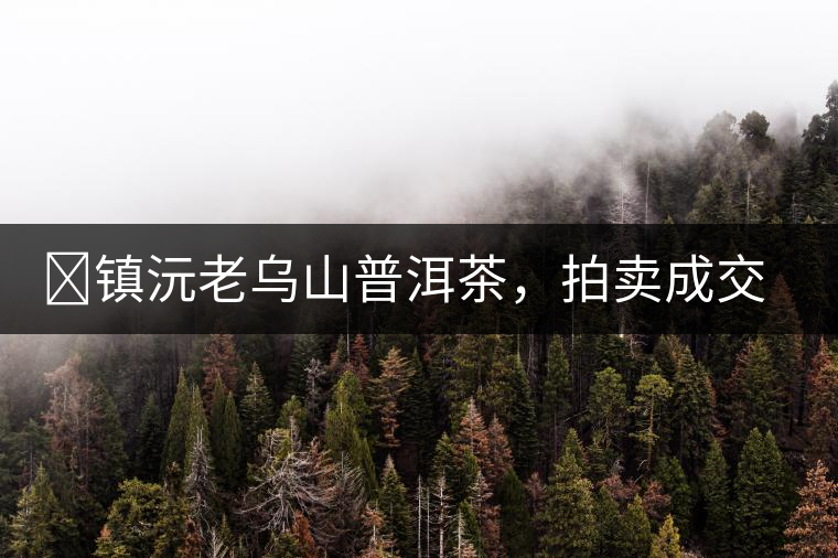 ?鎮(zhèn)沅老烏山普洱茶，拍賣成交價再創(chuàng)新高