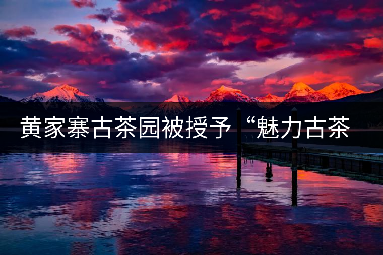黃家寨古茶園被授予“魅力古茶園”稱號