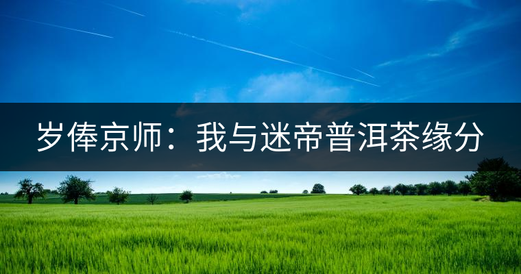 歲俸京師：我與迷帝普洱茶緣分