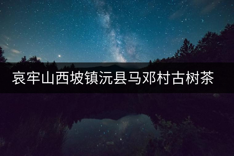 哀牢山西坡鎮(zhèn)沅縣馬鄧村古樹(shù)茶介紹