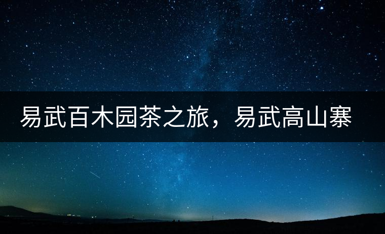 易武百木園茶之旅，易武高山寨古茶山