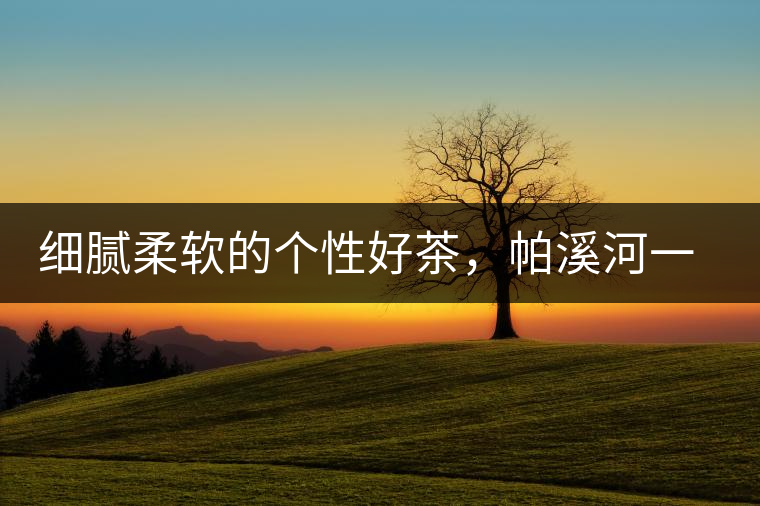 細膩柔軟的個性好茶，帕溪河一扇磨古樹茶