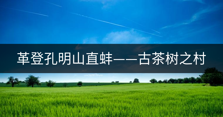 革登孔明山直蚌——古茶樹之村