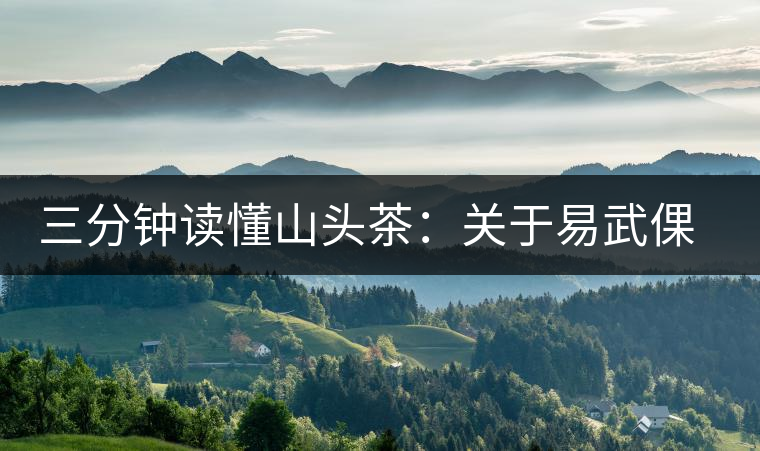 三分鐘讀懂山頭茶：關于易武倮德普洱茶