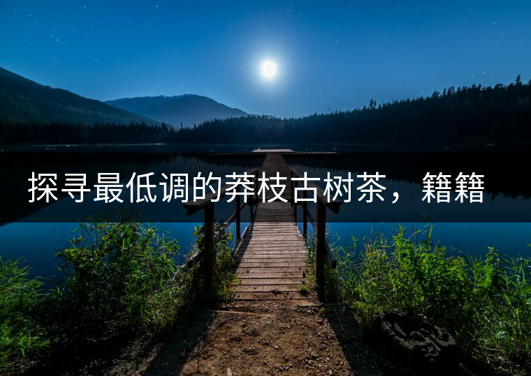 探尋最低調(diào)的莽枝古樹茶，籍籍無名出好茶