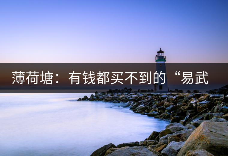 薄荷塘：有錢都買不到的“易武貴胄”，卓爾不群，無茶可及