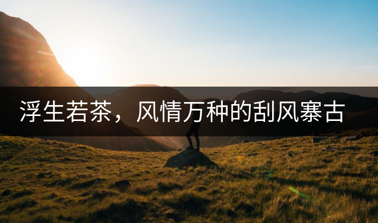 浮生若茶，風(fēng)情萬(wàn)種的刮風(fēng)寨古樹(shù)茶