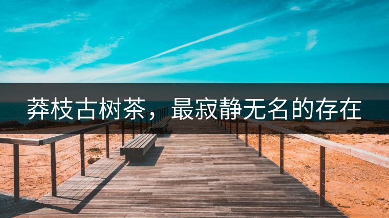 莽枝古樹茶，最寂靜無名的存在