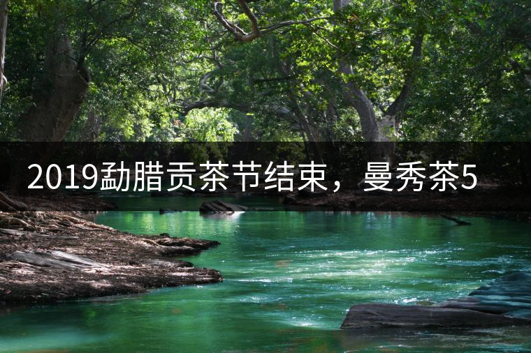 2019勐臘貢茶節(jié)結(jié)束，曼秀茶5公斤107萬奪得金獎(jiǎng)