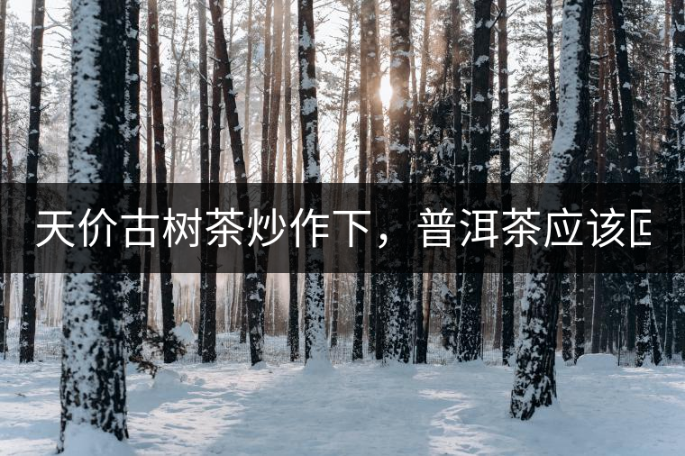 天價(jià)古樹(shù)茶炒作下，普洱茶應(yīng)該回歸理性！